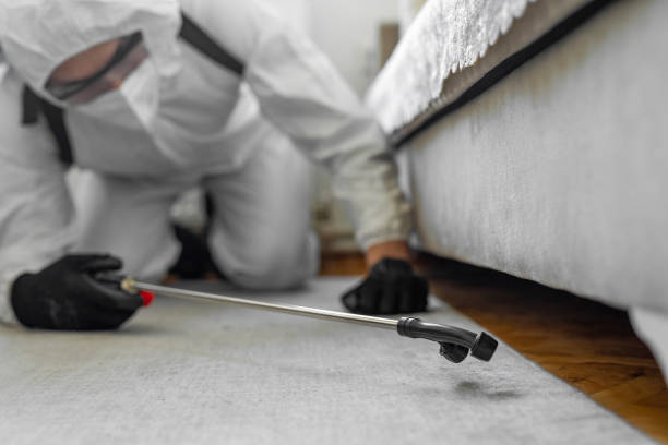 Professional Termite Control technician working in Chino, CA