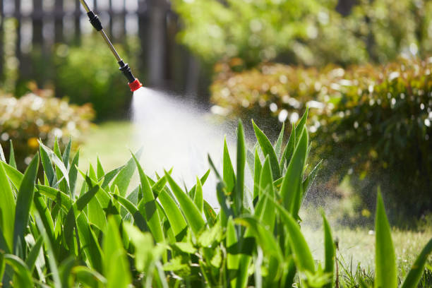 24/7 Emergency Termite Control experts in Chino, CA