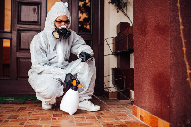Reliable Termite Control contractor in Chino, CA by Nex Pest Control